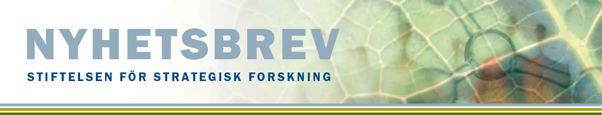 Headerbild - nyhetsbrev Stiftelsen för Strategisk Forskning