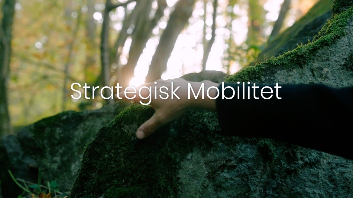 Ny utlysning Strategisk mobilitet