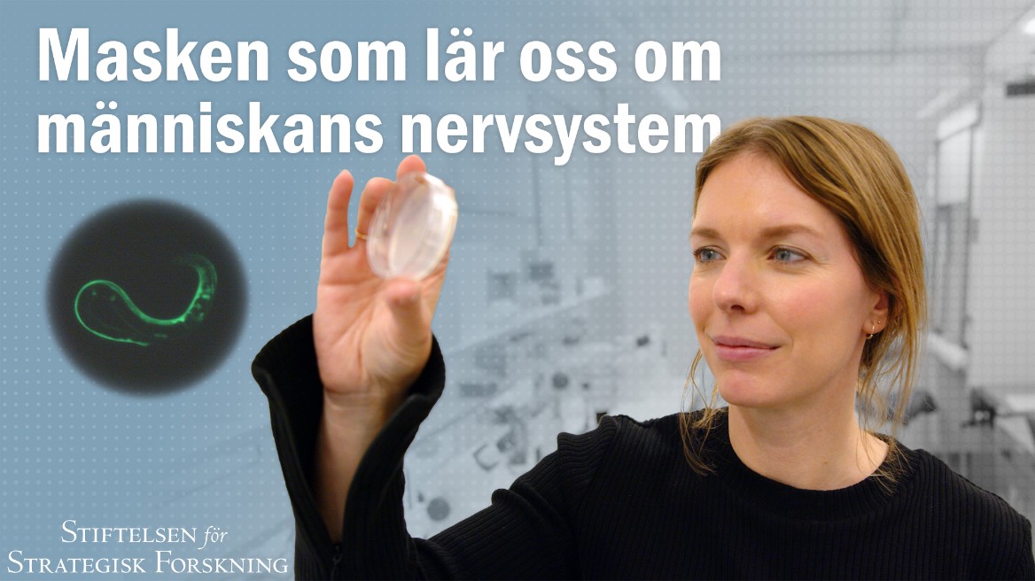 Framtidens Forskningsledare film