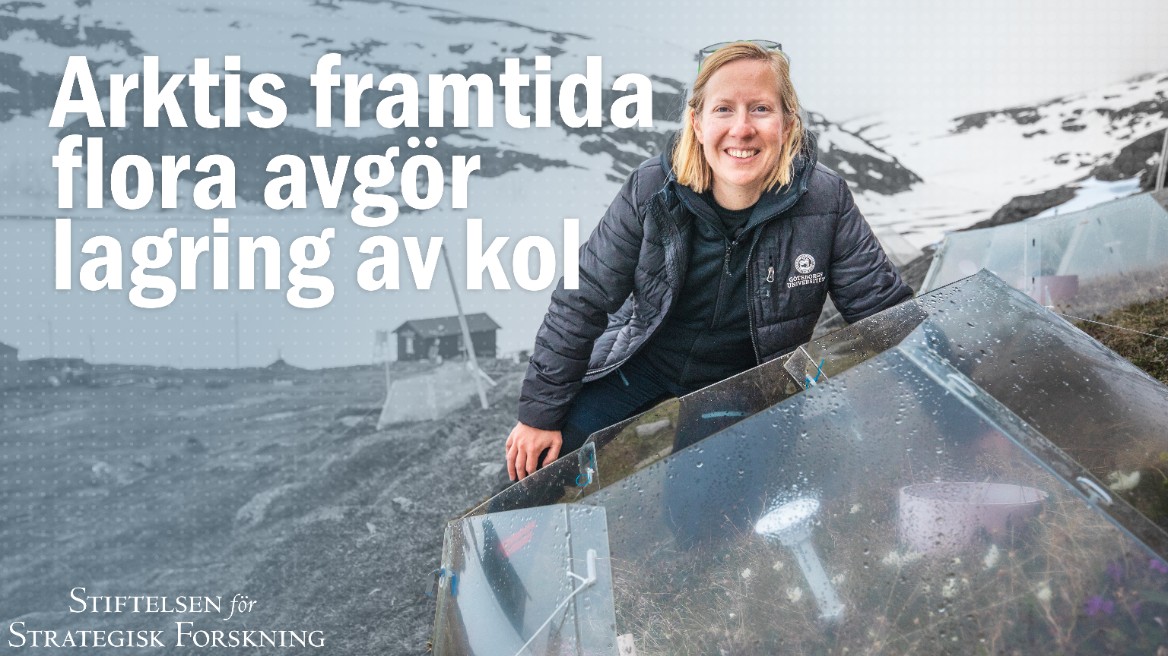 Framtidens Forskningsledare film
